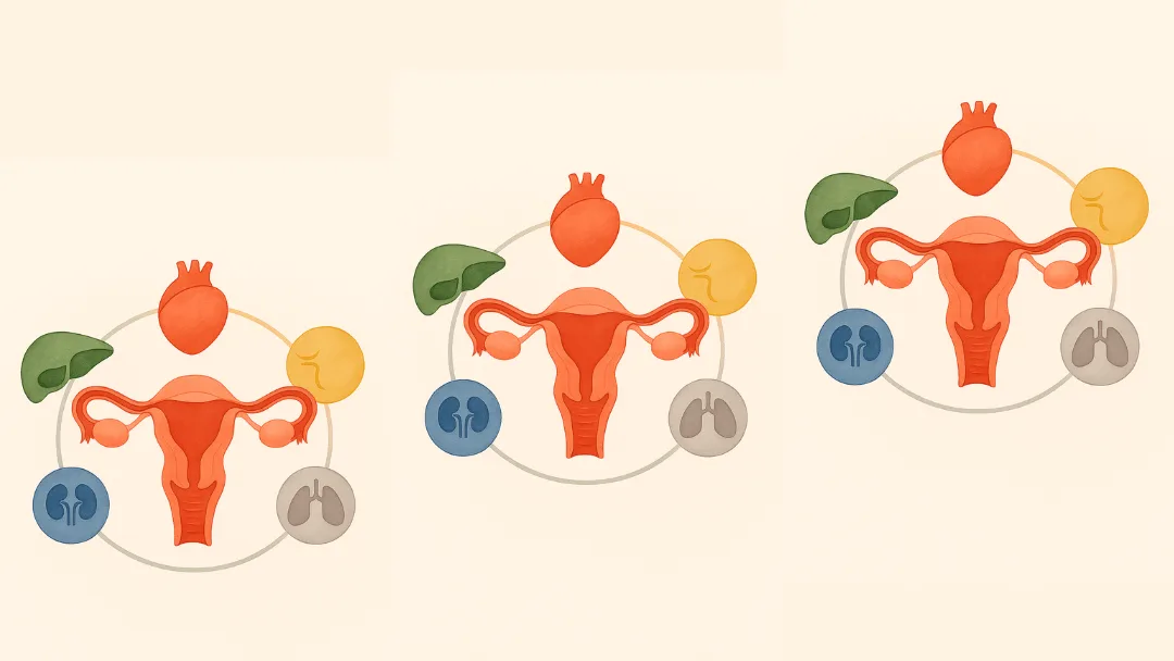 Menstruation and Fertility